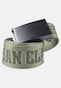 olive_151636