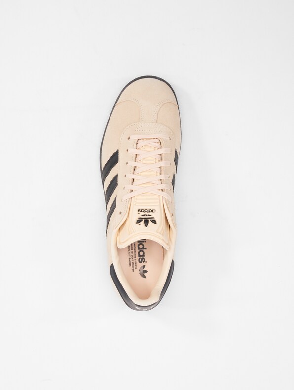 Gazelle Messi -4