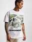 white_17413