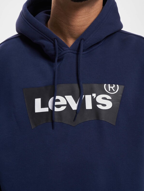 Levis T3 Relaxd Graphic Hoodie-3