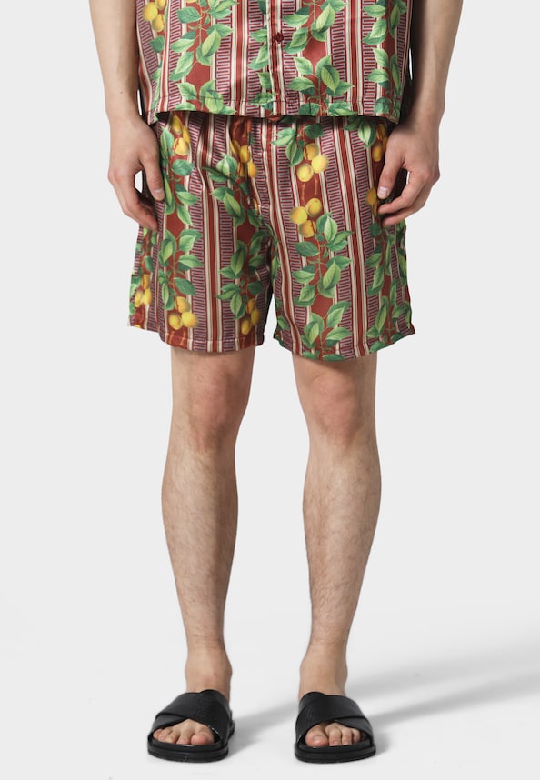 FRUITS  CUBAN SHORTS-2