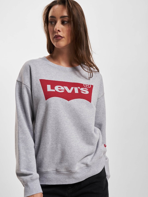 Levi's Graphic Standard Crew Pullover-0