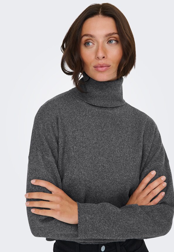 ONLAMA LIFE LS RIB ROLLNECK CC KNT-3