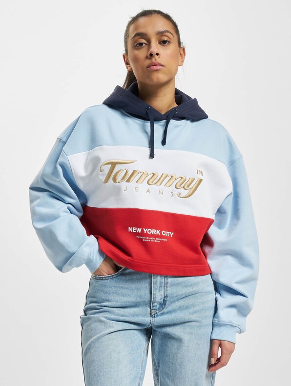 Tommy Jeans Crop Archive Hoody-2