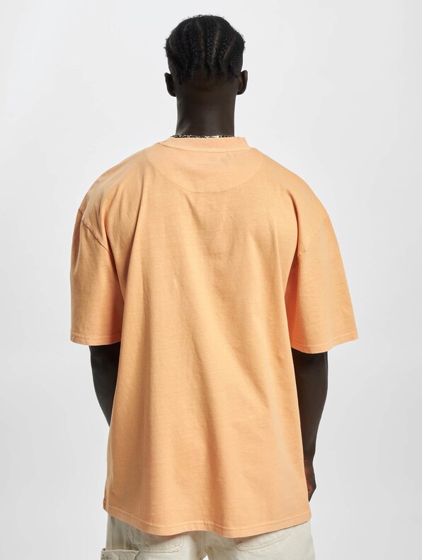 Small Signature Washed-1