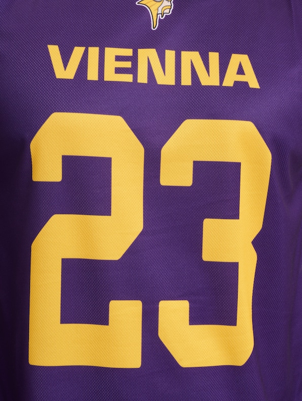 Vienna Vikings Fan-4