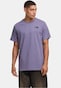violet_105291