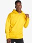 yellow_9537