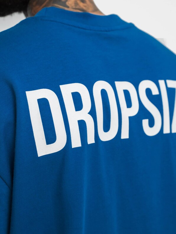 Dropsize Heavy Oversize HD Print T-Shirts-4