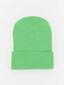 green_98699