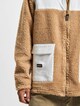 Dpteddy -3