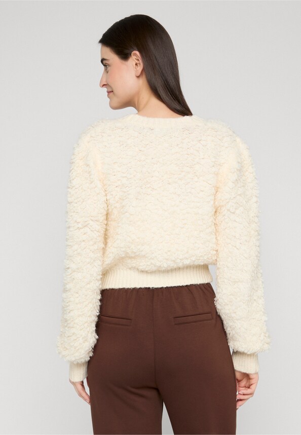 Short Hairy Jacket-1