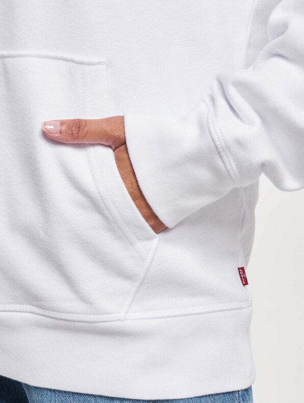 Levis Graphic Standard Hoodie-3