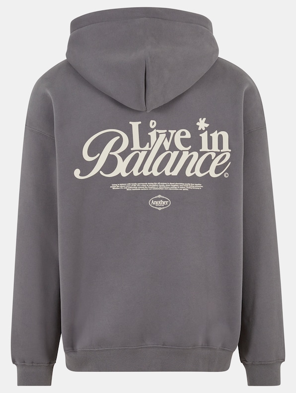 Lab Live in Balance Heavy Oversized-5