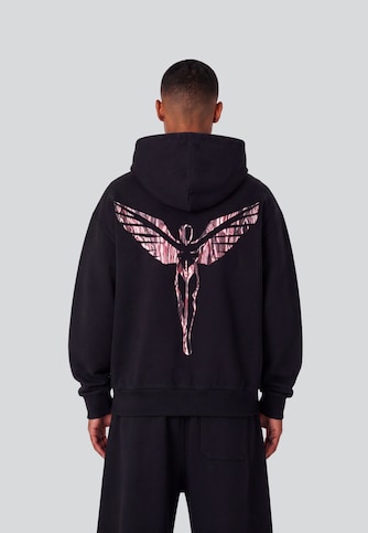 Ikarus Backprint 