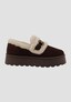 brown_187860