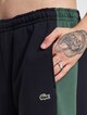 Lacoste Colorblock Shorts-3