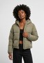 olive_167640