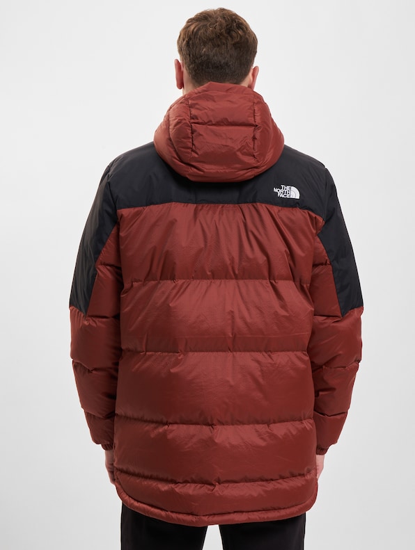 The North Face Diablo Winterjacke-1