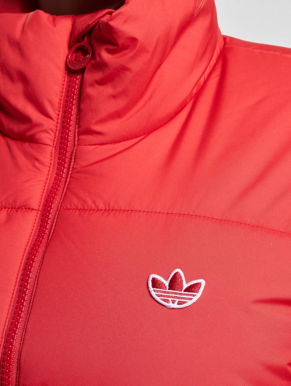 Short Winter Jacket-3