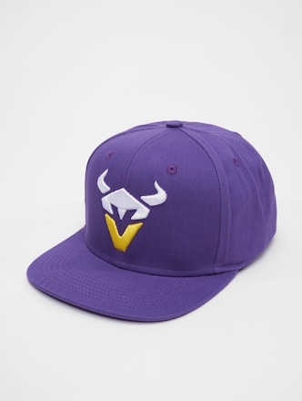 Vienna Vikings