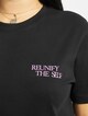 Reunify-3