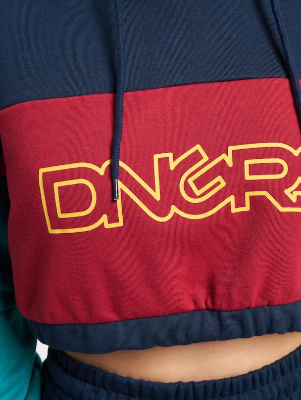 Dangerous DNGRS 4C Hoodies-3