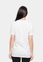 white_18205