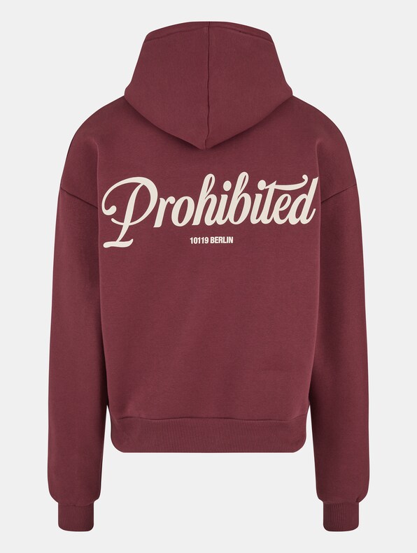 Prohibited V2 Hoodies-8