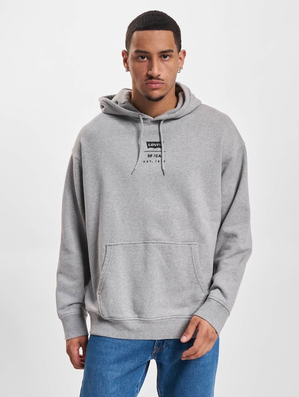 Levi's® Relaxed Graphic Hoody-2