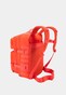 orange_37763