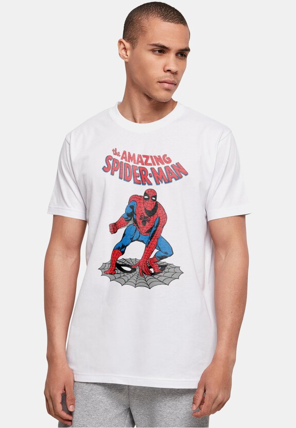 Marvel Universe - The Amazing Spider-Man Basic-0