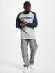 Raglan -5