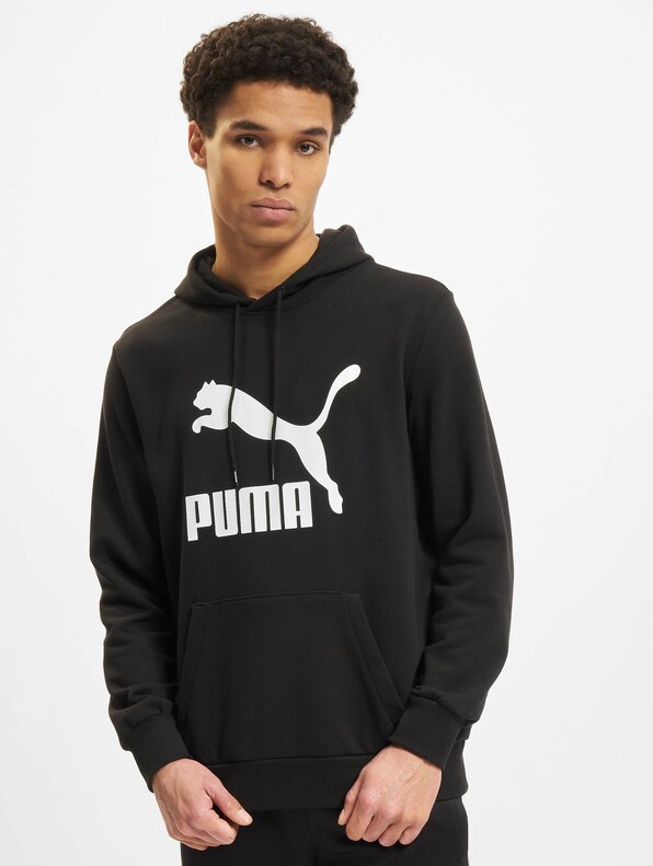 Puma Classics Logo Tr Hoodie-2