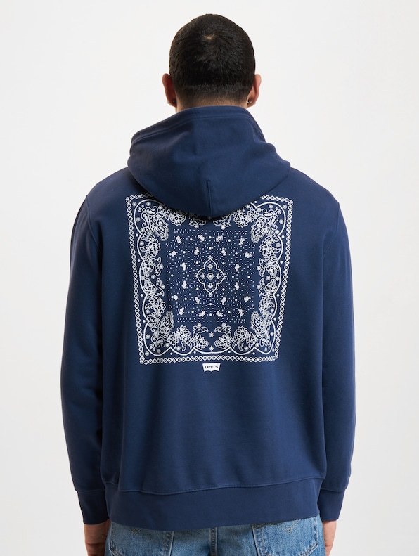 Levi's Standard Graphic Hoodies-1