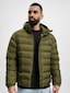 green_25893
