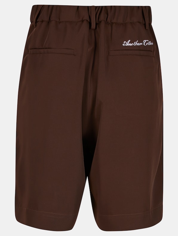 Double Pleated Shorts-5
