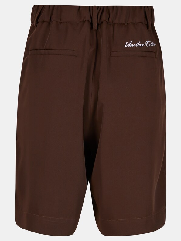 Double Pleated Shorts-5