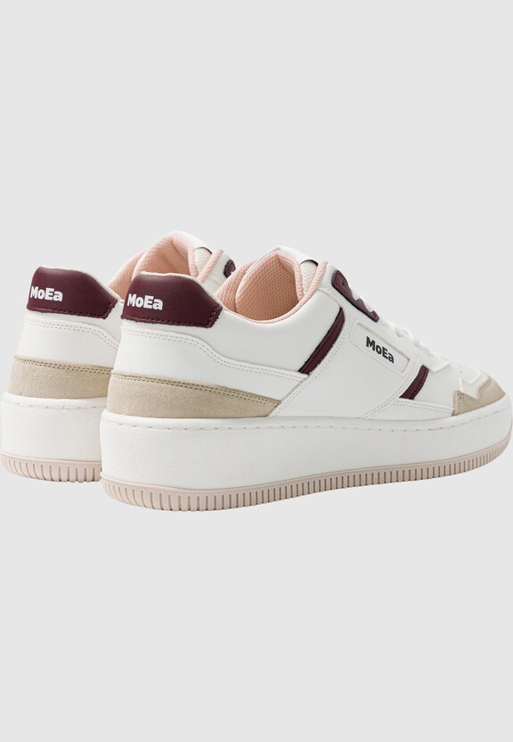 GEN1 - GRAPES -1
