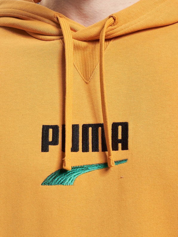Puma Downtown Logo Hoodies-3