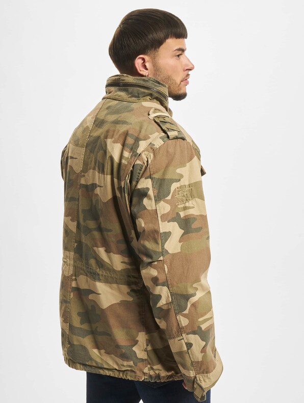 M65 Giant -1