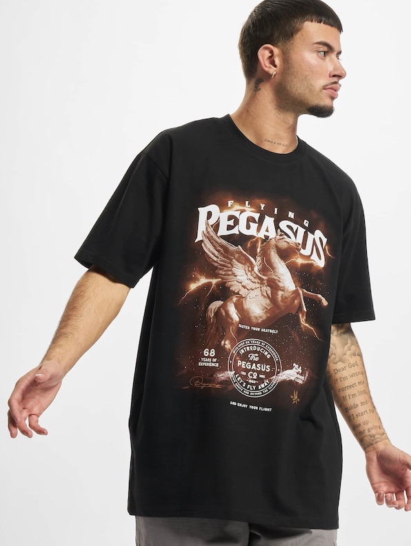 Pegasus Oversize-0