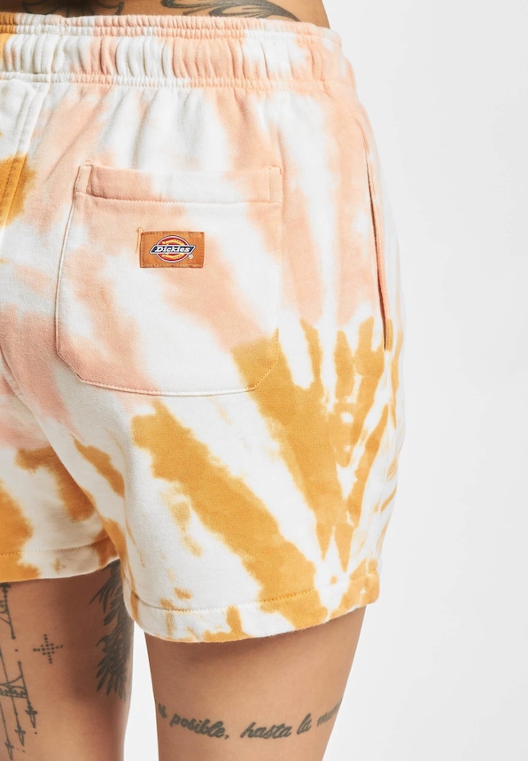 Dickies Seatac Shorts golden-4