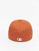 Mlb New York Yankees Team Outline-1