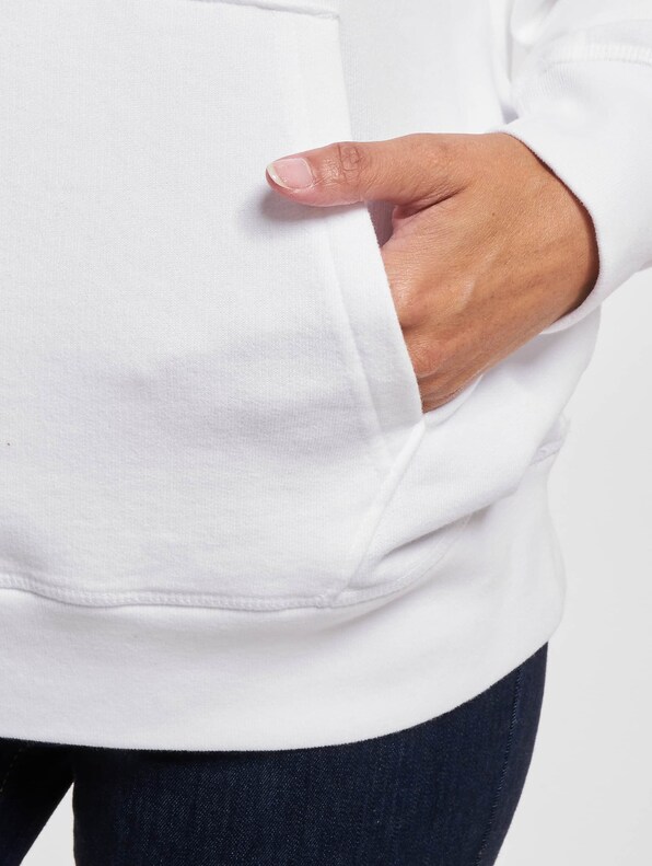 Levis Graphic Standard Hoodie-4