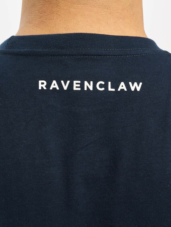 Harry Potter Ravenclaw-6