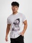 white_17312