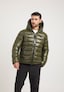 olive_208127