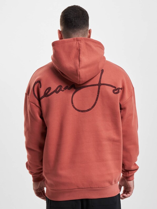 JM233-002-2 SJ Script Logo Backprint Peached Hoodie-1