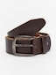 brown_97284